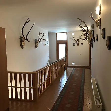 Silvanus Panzió Casa de hóspedes 3*