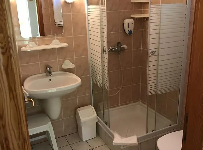 Guest house Silvanus Panzio 3*