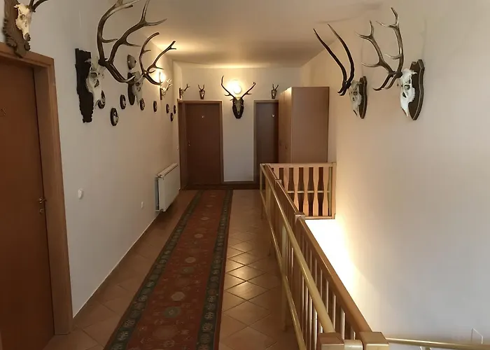 Silvanus Panzió Pensión 3*